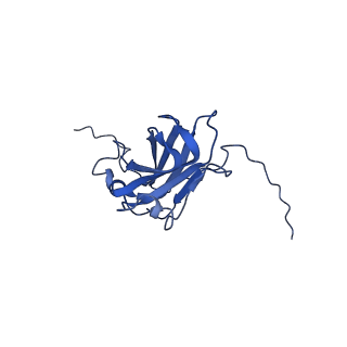 13344_7pe1_F_v1-1
Cryo-EM structure of BMV-derived VLP expressed in E. coli and assembled in the presence of tRNA (tVLP)