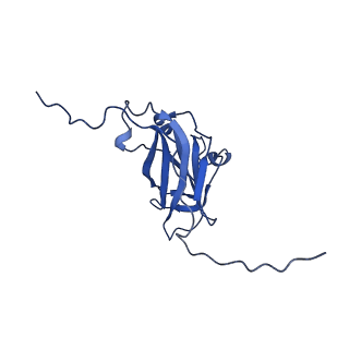 13344_7pe1_GA_v1-1
Cryo-EM structure of BMV-derived VLP expressed in E. coli and assembled in the presence of tRNA (tVLP)