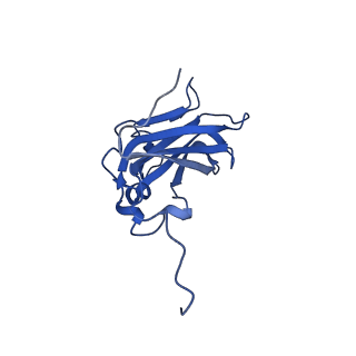 13344_7pe1_GB_v1-1
Cryo-EM structure of BMV-derived VLP expressed in E. coli and assembled in the presence of tRNA (tVLP)