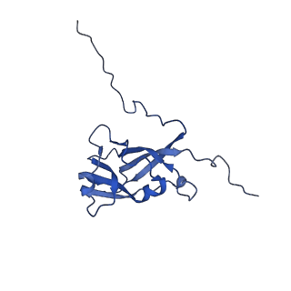 13344_7pe1_GD_v1-1
Cryo-EM structure of BMV-derived VLP expressed in E. coli and assembled in the presence of tRNA (tVLP)