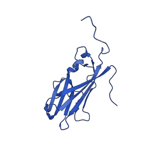 13344_7pe1_GE_v1-1
Cryo-EM structure of BMV-derived VLP expressed in E. coli and assembled in the presence of tRNA (tVLP)