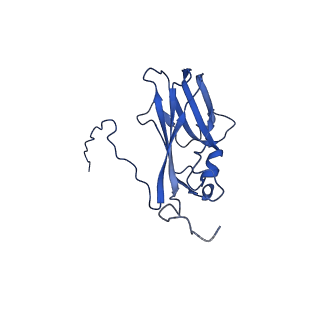 13344_7pe1_GF_v1-1
Cryo-EM structure of BMV-derived VLP expressed in E. coli and assembled in the presence of tRNA (tVLP)
