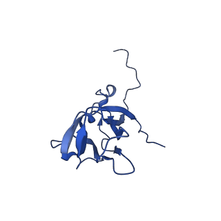 13344_7pe1_G_v1-1
Cryo-EM structure of BMV-derived VLP expressed in E. coli and assembled in the presence of tRNA (tVLP)
