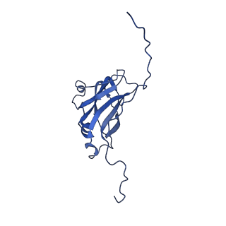 13344_7pe1_HA_v1-1
Cryo-EM structure of BMV-derived VLP expressed in E. coli and assembled in the presence of tRNA (tVLP)