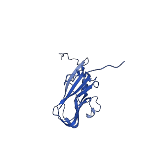 13344_7pe1_HD_v1-1
Cryo-EM structure of BMV-derived VLP expressed in E. coli and assembled in the presence of tRNA (tVLP)