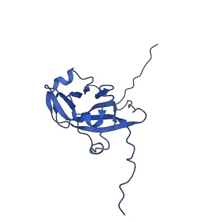 13344_7pe1_HE_v1-1
Cryo-EM structure of BMV-derived VLP expressed in E. coli and assembled in the presence of tRNA (tVLP)