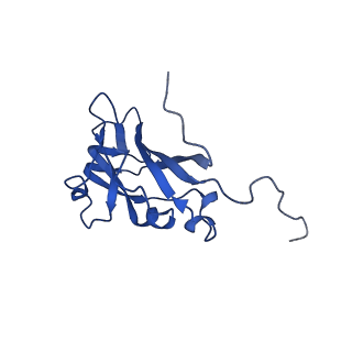 13344_7pe1_IA_v1-1
Cryo-EM structure of BMV-derived VLP expressed in E. coli and assembled in the presence of tRNA (tVLP)