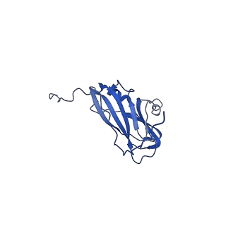 13344_7pe1_IB_v1-1
Cryo-EM structure of BMV-derived VLP expressed in E. coli and assembled in the presence of tRNA (tVLP)