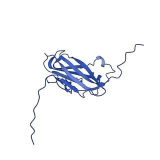 13344_7pe1_IC_v1-1
Cryo-EM structure of BMV-derived VLP expressed in E. coli and assembled in the presence of tRNA (tVLP)