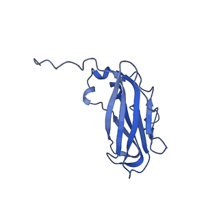 13344_7pe1_ID_v1-1
Cryo-EM structure of BMV-derived VLP expressed in E. coli and assembled in the presence of tRNA (tVLP)