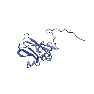 13344_7pe1_IE_v1-1
Cryo-EM structure of BMV-derived VLP expressed in E. coli and assembled in the presence of tRNA (tVLP)
