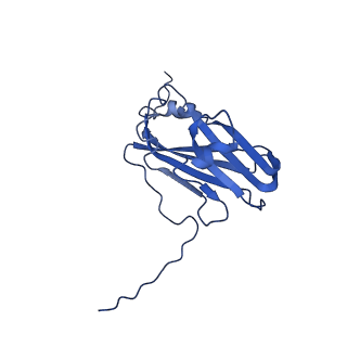 13344_7pe1_IF_v1-1
Cryo-EM structure of BMV-derived VLP expressed in E. coli and assembled in the presence of tRNA (tVLP)