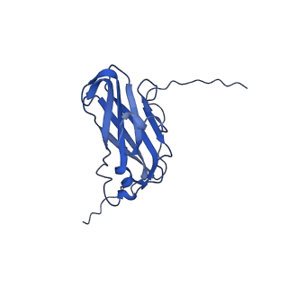 13344_7pe1_I_v1-1
Cryo-EM structure of BMV-derived VLP expressed in E. coli and assembled in the presence of tRNA (tVLP)