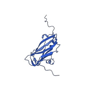 13344_7pe1_JA_v1-1
Cryo-EM structure of BMV-derived VLP expressed in E. coli and assembled in the presence of tRNA (tVLP)