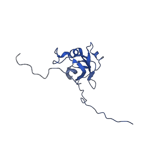 13344_7pe1_JC_v1-1
Cryo-EM structure of BMV-derived VLP expressed in E. coli and assembled in the presence of tRNA (tVLP)