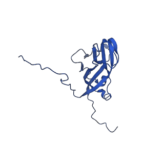 13344_7pe1_JF_v1-1
Cryo-EM structure of BMV-derived VLP expressed in E. coli and assembled in the presence of tRNA (tVLP)