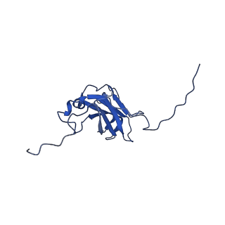 13344_7pe1_KA_v1-1
Cryo-EM structure of BMV-derived VLP expressed in E. coli and assembled in the presence of tRNA (tVLP)