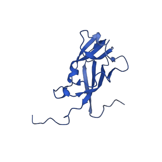 13344_7pe1_KC_v1-1
Cryo-EM structure of BMV-derived VLP expressed in E. coli and assembled in the presence of tRNA (tVLP)