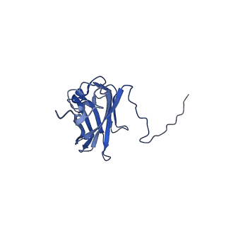 13344_7pe1_KE_v1-1
Cryo-EM structure of BMV-derived VLP expressed in E. coli and assembled in the presence of tRNA (tVLP)