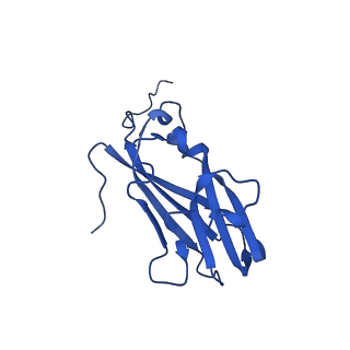 13344_7pe1_KF_v1-1
Cryo-EM structure of BMV-derived VLP expressed in E. coli and assembled in the presence of tRNA (tVLP)
