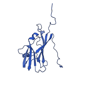 13344_7pe1_K_v1-1
Cryo-EM structure of BMV-derived VLP expressed in E. coli and assembled in the presence of tRNA (tVLP)