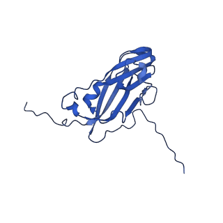 13344_7pe1_LB_v1-1
Cryo-EM structure of BMV-derived VLP expressed in E. coli and assembled in the presence of tRNA (tVLP)