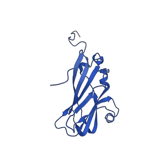 13344_7pe1_LD_v1-1
Cryo-EM structure of BMV-derived VLP expressed in E. coli and assembled in the presence of tRNA (tVLP)