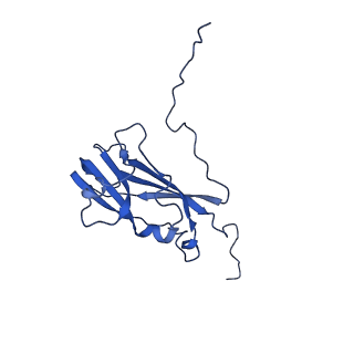 13344_7pe1_LE_v1-1
Cryo-EM structure of BMV-derived VLP expressed in E. coli and assembled in the presence of tRNA (tVLP)