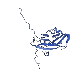 13344_7pe1_LF_v1-1
Cryo-EM structure of BMV-derived VLP expressed in E. coli and assembled in the presence of tRNA (tVLP)