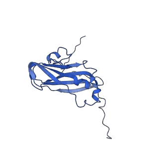 13344_7pe1_L_v1-1
Cryo-EM structure of BMV-derived VLP expressed in E. coli and assembled in the presence of tRNA (tVLP)