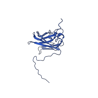 13344_7pe1_MC_v1-1
Cryo-EM structure of BMV-derived VLP expressed in E. coli and assembled in the presence of tRNA (tVLP)