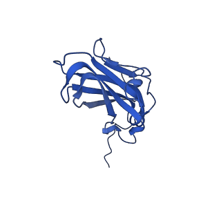 13344_7pe1_M_v1-1
Cryo-EM structure of BMV-derived VLP expressed in E. coli and assembled in the presence of tRNA (tVLP)