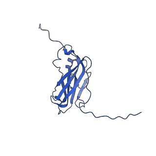 13344_7pe1_NA_v1-1
Cryo-EM structure of BMV-derived VLP expressed in E. coli and assembled in the presence of tRNA (tVLP)
