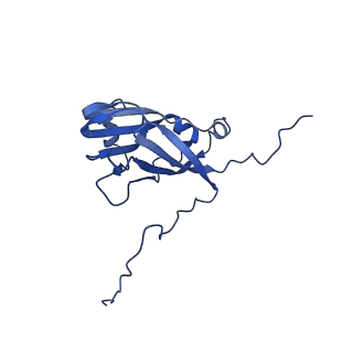 13344_7pe1_NB_v1-1
Cryo-EM structure of BMV-derived VLP expressed in E. coli and assembled in the presence of tRNA (tVLP)