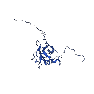 13344_7pe1_ND_v1-1
Cryo-EM structure of BMV-derived VLP expressed in E. coli and assembled in the presence of tRNA (tVLP)