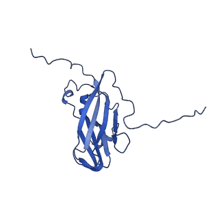 13344_7pe1_NE_v1-1
Cryo-EM structure of BMV-derived VLP expressed in E. coli and assembled in the presence of tRNA (tVLP)