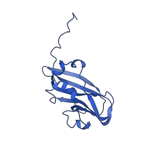 13344_7pe1_NF_v1-1
Cryo-EM structure of BMV-derived VLP expressed in E. coli and assembled in the presence of tRNA (tVLP)