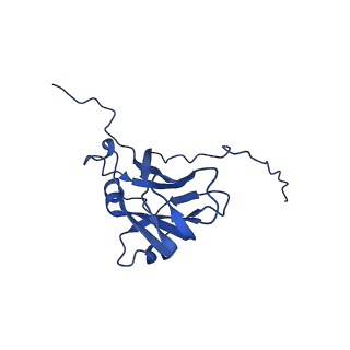 13344_7pe1_N_v1-1
Cryo-EM structure of BMV-derived VLP expressed in E. coli and assembled in the presence of tRNA (tVLP)