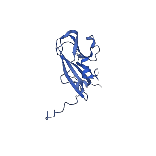 13344_7pe1_OB_v1-1
Cryo-EM structure of BMV-derived VLP expressed in E. coli and assembled in the presence of tRNA (tVLP)