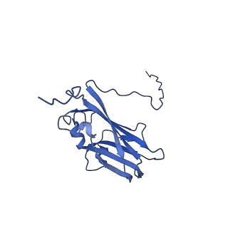 13344_7pe1_OC_v1-1
Cryo-EM structure of BMV-derived VLP expressed in E. coli and assembled in the presence of tRNA (tVLP)