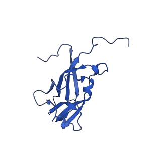 13344_7pe1_OD_v1-1
Cryo-EM structure of BMV-derived VLP expressed in E. coli and assembled in the presence of tRNA (tVLP)