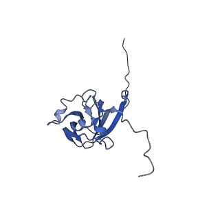 13344_7pe1_OE_v1-1
Cryo-EM structure of BMV-derived VLP expressed in E. coli and assembled in the presence of tRNA (tVLP)