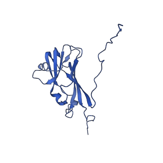 13344_7pe1_PA_v1-1
Cryo-EM structure of BMV-derived VLP expressed in E. coli and assembled in the presence of tRNA (tVLP)
