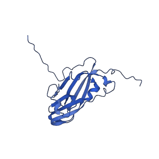 13344_7pe1_PC_v1-1
Cryo-EM structure of BMV-derived VLP expressed in E. coli and assembled in the presence of tRNA (tVLP)
