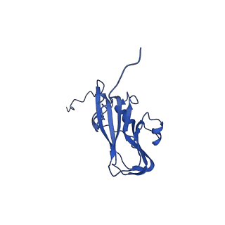 13344_7pe1_PD_v1-1
Cryo-EM structure of BMV-derived VLP expressed in E. coli and assembled in the presence of tRNA (tVLP)