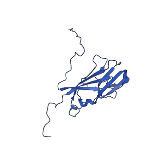 13344_7pe1_PF_v1-1
Cryo-EM structure of BMV-derived VLP expressed in E. coli and assembled in the presence of tRNA (tVLP)