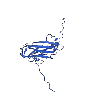 13344_7pe1_QA_v1-1
Cryo-EM structure of BMV-derived VLP expressed in E. coli and assembled in the presence of tRNA (tVLP)