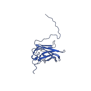 13344_7pe1_QD_v1-1
Cryo-EM structure of BMV-derived VLP expressed in E. coli and assembled in the presence of tRNA (tVLP)