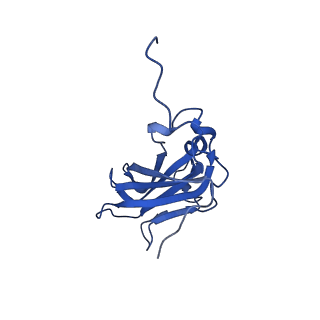13344_7pe1_RA_v1-1
Cryo-EM structure of BMV-derived VLP expressed in E. coli and assembled in the presence of tRNA (tVLP)