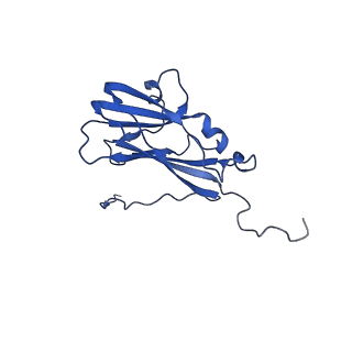 13344_7pe1_RB_v1-1
Cryo-EM structure of BMV-derived VLP expressed in E. coli and assembled in the presence of tRNA (tVLP)